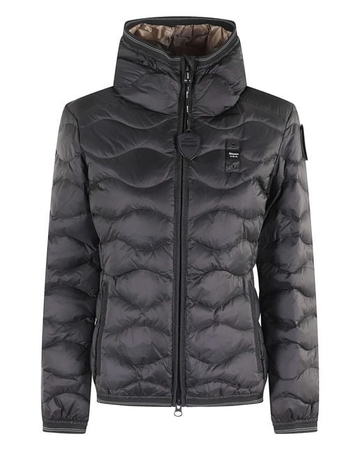 Blauer Black Camelia