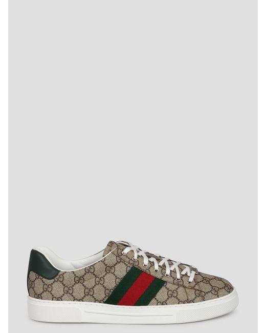 Gucci Brown Ace Sneakers for men