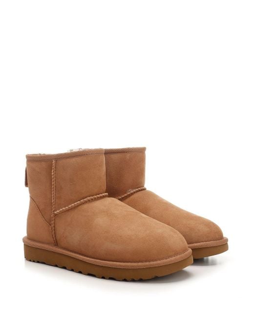 Ugg Brown Chestnut Mini