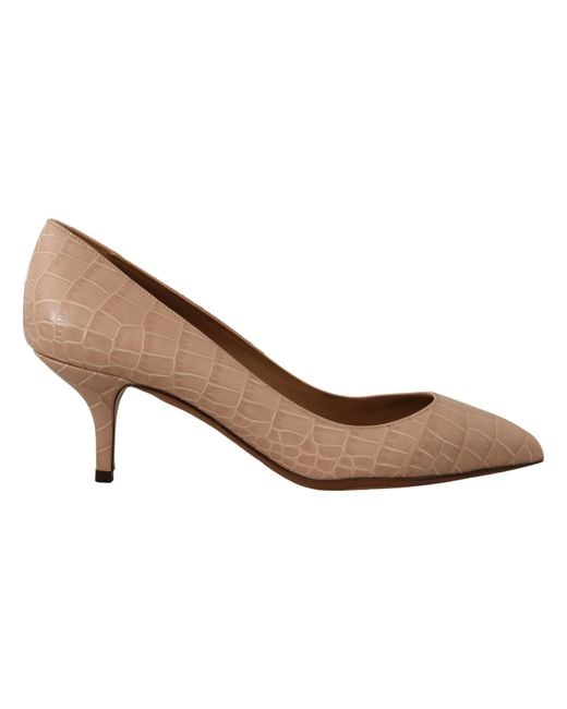 Dolce & Gabbana Brown Leather Pointed Heels Pumps Shoes