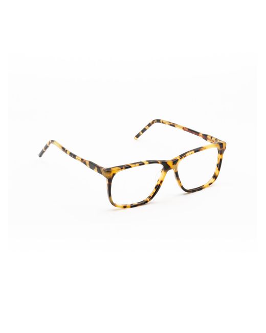 Moli Limo Brown 18E14310A Acetate