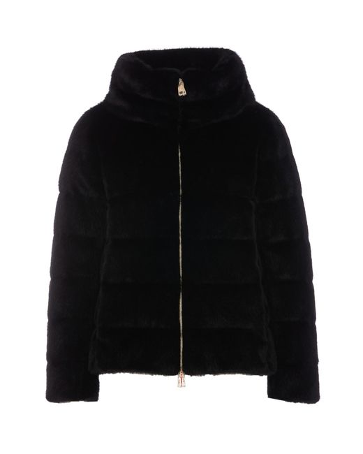 Herno Black Coats