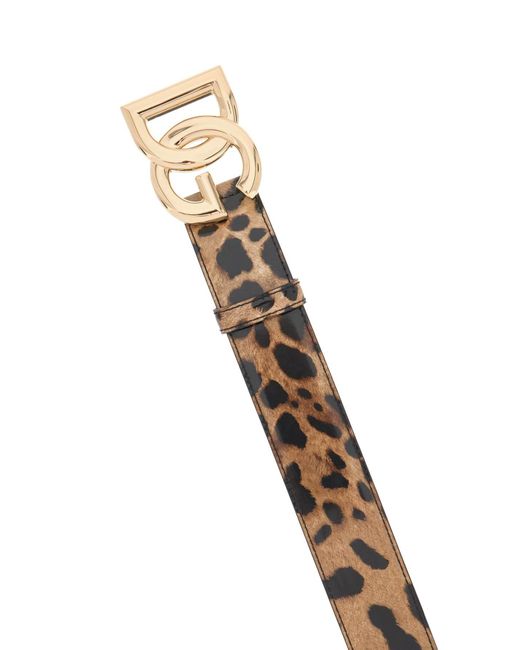 Dolce & Gabbana Multicolor Glossy Leather Belt With Leopard Print And Dg Logo
