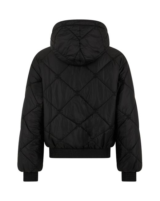 Céline Black Padded Hooded Jacket Polyester & Down for men