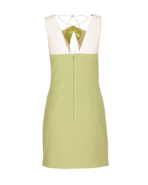 Elisabetta Franchi Green Dresses