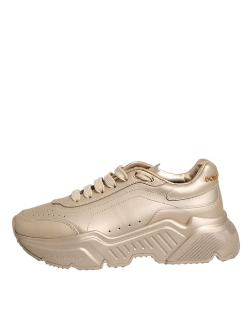 Dolce & Gabbana Natural Leather Daymaster Sneaker Shoes Calf
