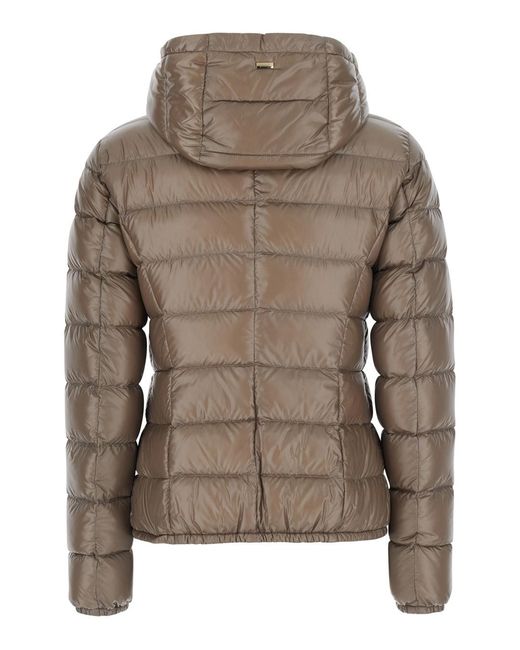 Herno Brown Hooded Short Puffer Jacket Giada Polyamide