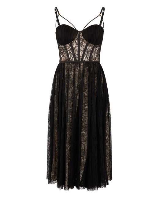 Elisabetta Franchi Black Dress Lace-Nude Polyamide