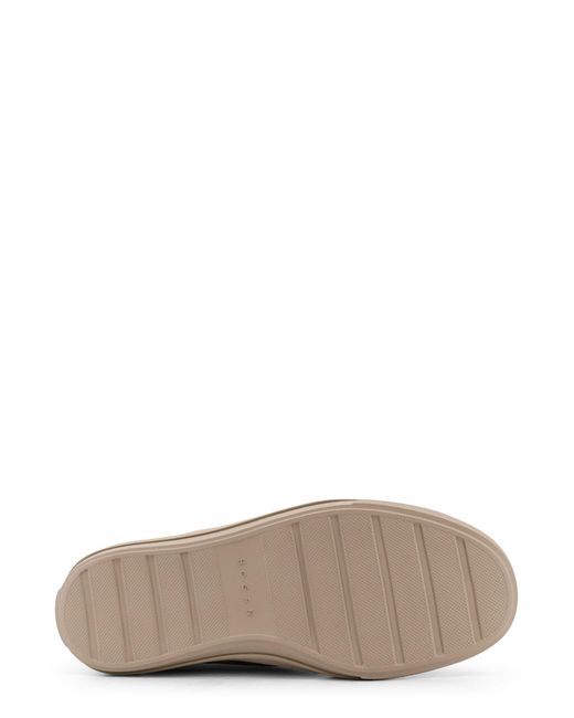Hogan Gray H691 Allacciato H Suede Low-Top Sneakers for men