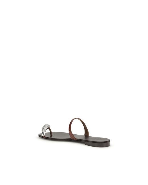 Giuseppe Zanotti Brown Flip Flops