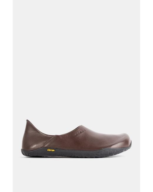 Demon Brown Dalmara Sneaker for men
