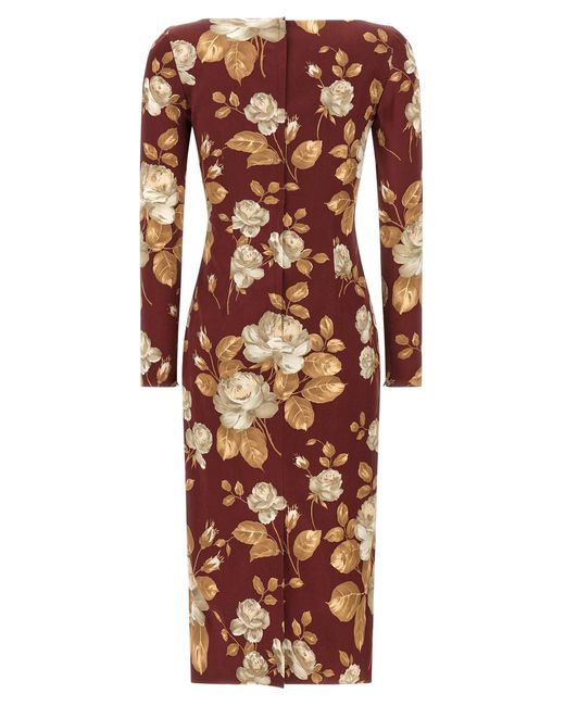 Dolce & Gabbana Red Rose Print Dress
