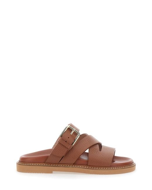 Pollini Brown Leather Open Toe Sandals With Buckle Closure For Calf Flat Shoes