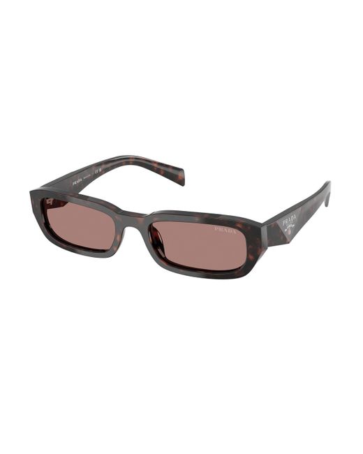 Prada Brown Pr B06S Sunglasses