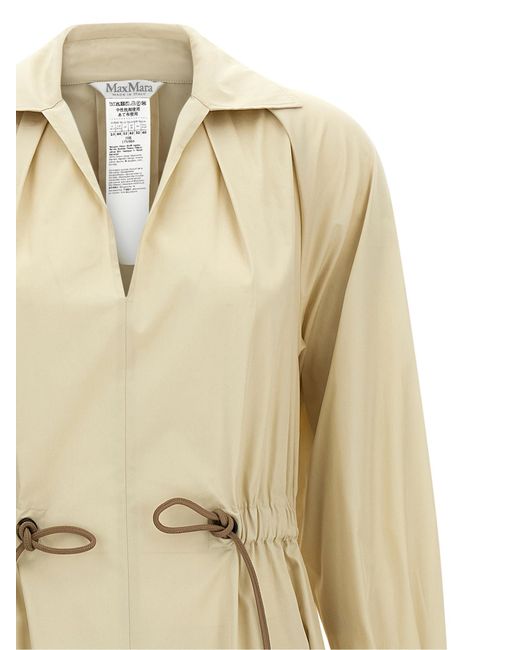 Max Mara Natural 'Mxmpedaggi' Dress