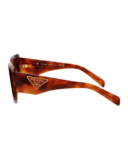 Prada Brown Sunglasses