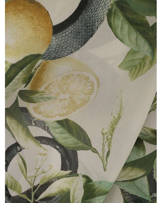 Roberto Cavalli Green Lemon Snake Print Scarf