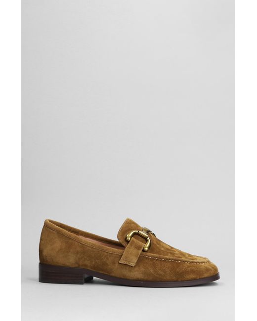 Bibi Lou Brown Loafers In Leather Color Suede