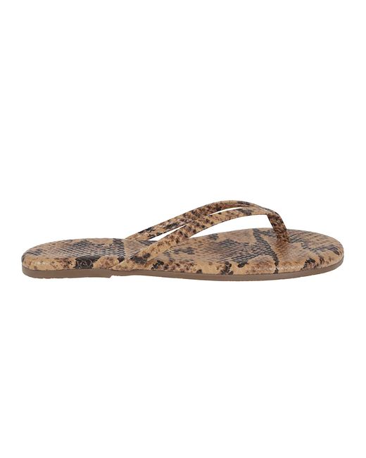 TKEES Brown Studio Exotic