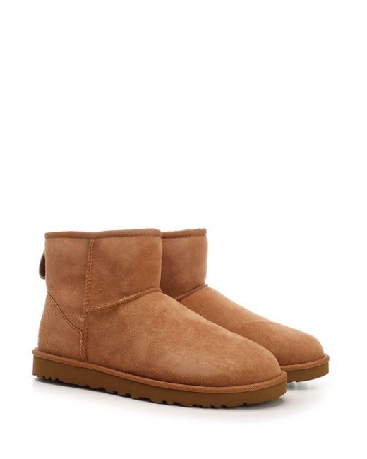Ugg Brown Mini Classic Boot Boots for men