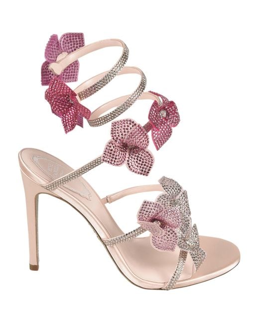 Rene Caovilla Pink Floriane Sandals