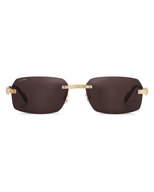 Cartier Brown Ct0271S 001 Sunglasses for men