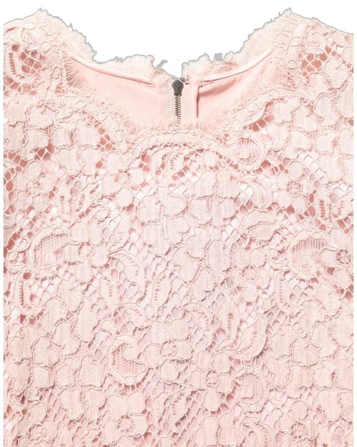 Dolce & Gabbana Pink Cotton Floral Lace Sleeveless Mini Dress