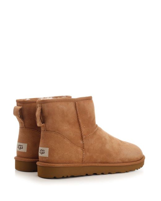 Ugg Brown Mini Classic Boot Boots for men