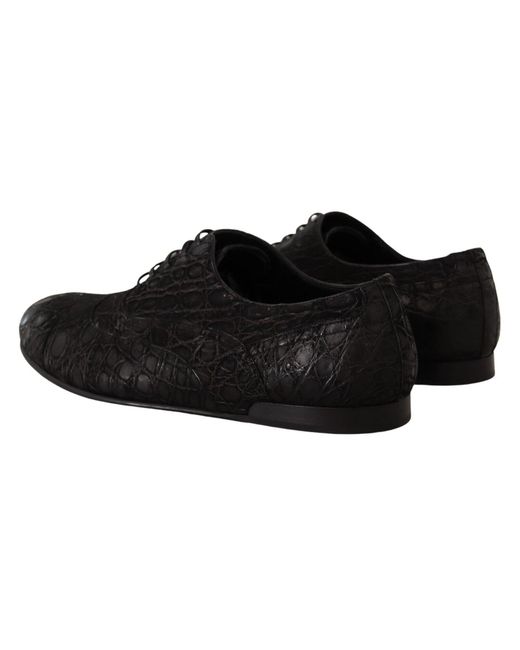 Dolce & Gabbana Black Caiman Leather Mens Oxford Shoes for men