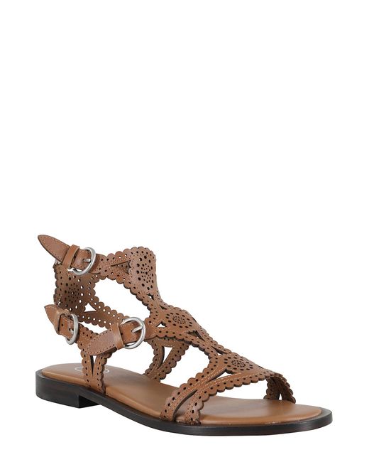 Ash Brown Soft Brasil