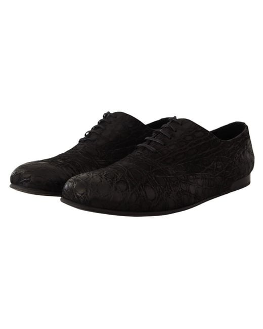 Dolce & Gabbana Black Caiman Leather Mens Oxford Shoes for men