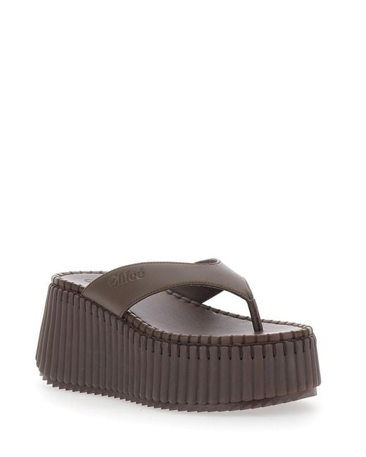 Chloé Brown 10X