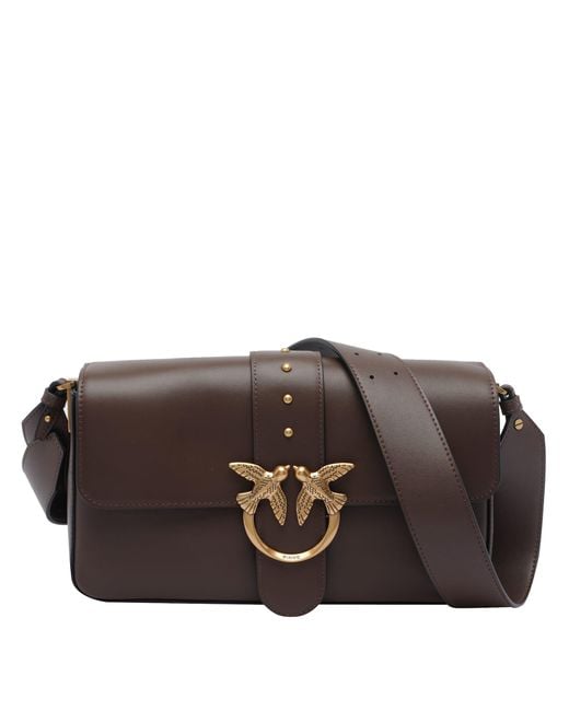 Pinko Brown Bags