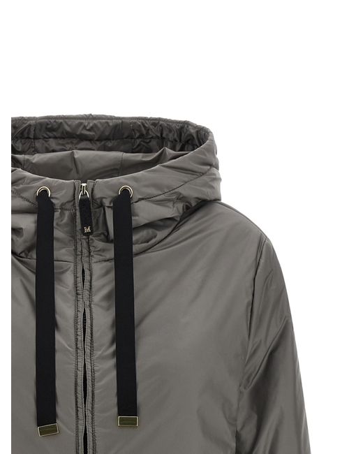 Max Mara Gray Greenh Jacket