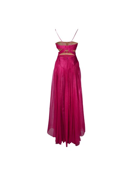 Maria Lucia Hohan Pink Maxi Dress