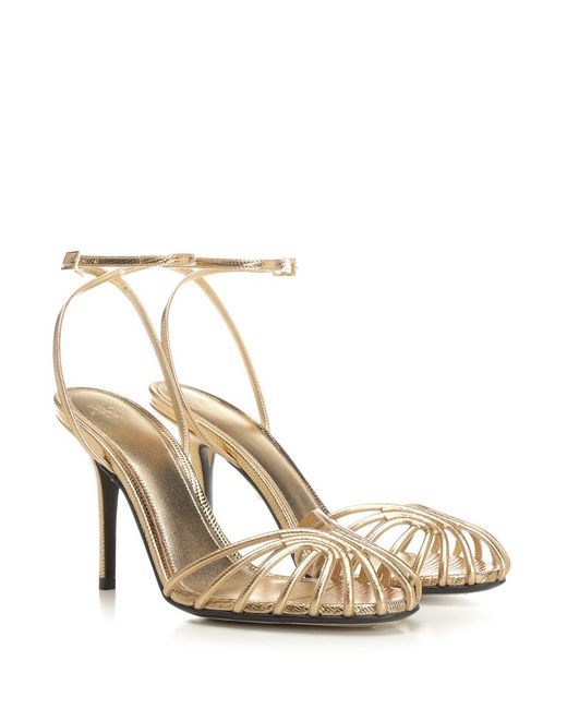 ALEVI Metallic Blake Sandal