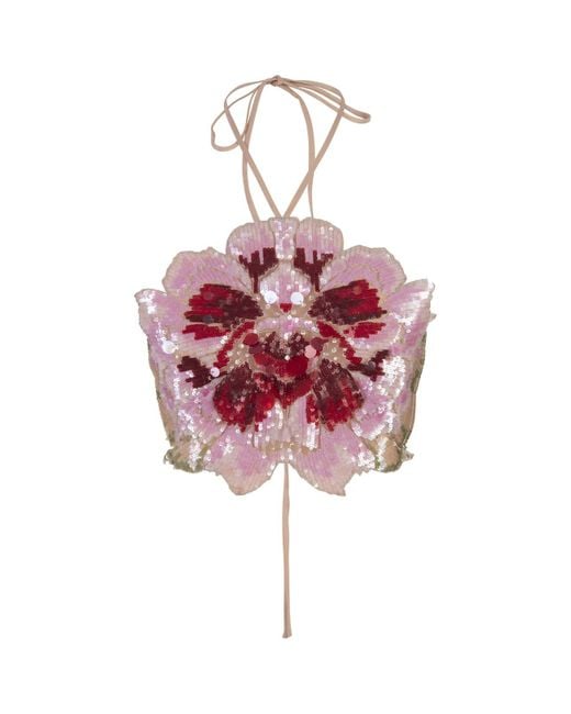 Amen Red Orchid Top