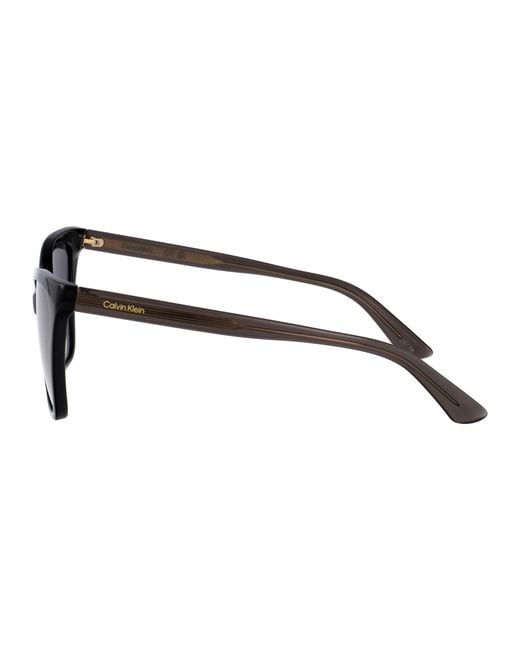 Calvin Klein Blue Acetate Sunglasses