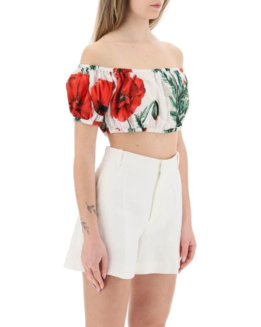 Dolce & Gabbana Red Poppy Print Cotton Crop Top