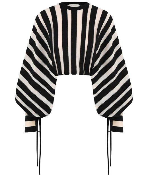 Zimmermann Black Jersey "Rebellion Drawn"