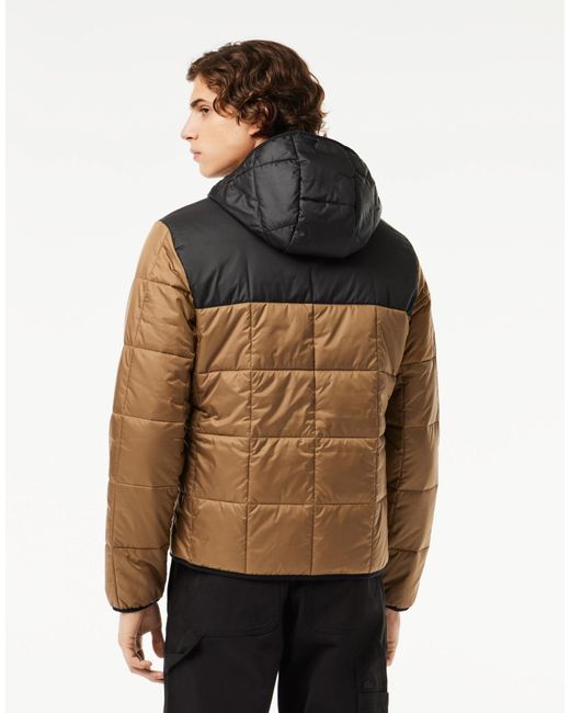 Lacoste Brown Waterproof Colour-Block Puffer Jacket for men