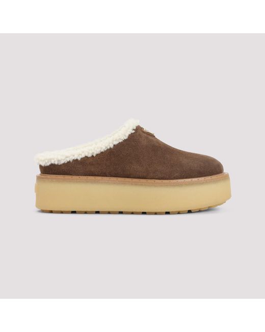 Prada Brown Mules