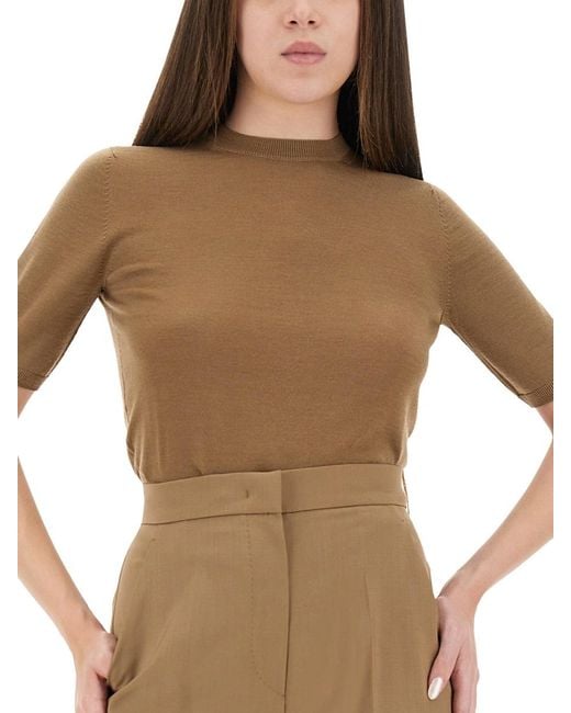 Max Mara Brown Virgin Wool Jersey Jeric Jumpers