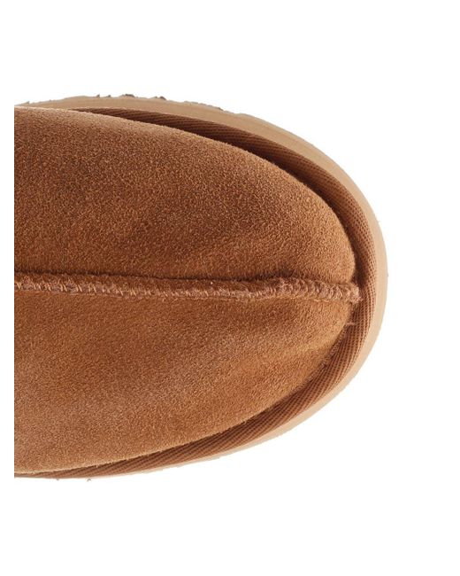 Ugg Brown Tazz Slip On Shoes