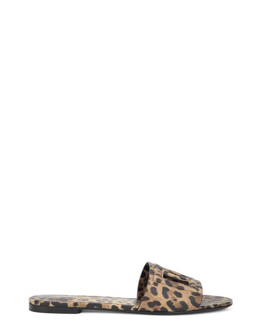 Dolce & Gabbana Brown Slide Sandals Calfskin