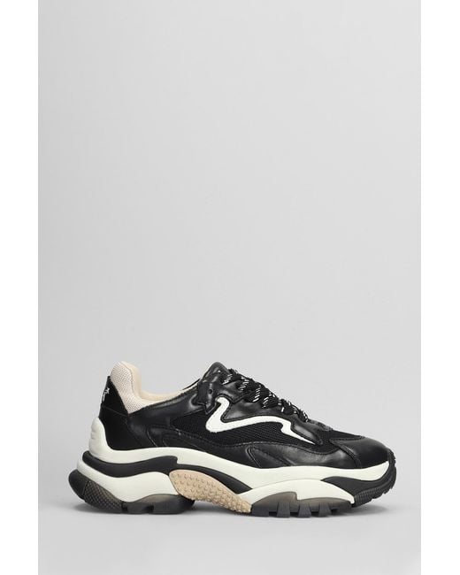Addict ash new arrivals