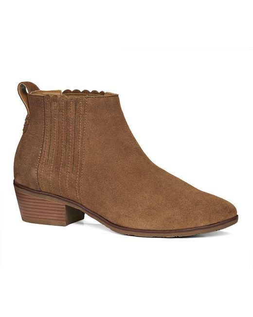 liddy suede bootie