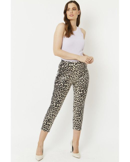 Jayley Black Mono Leopard Leopard Print Faux Suede Trousers