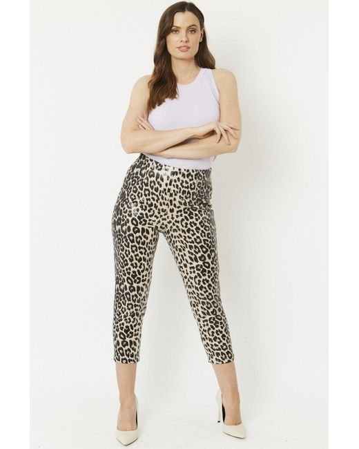 Jayley Black Mono Leopard Leopard Print Faux Suede Trousers
