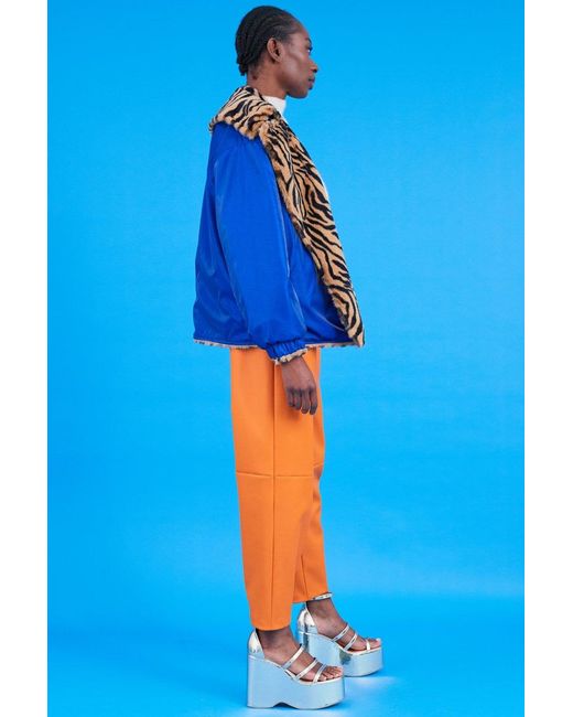 Jayley Blue Reversible Animal Print Jacket